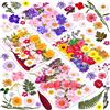 Cruzix 140 Pcs Dried Pressed Flowers for Resin, Real Pressed Flowers Dry Leaves Bulk Natural Herbs Kit for Scrapbooking DIY Art Crafts, Epoxy Resin Jewelry Molds, Candle, Soap Making, Nails Décor