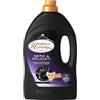 Spuma di Sciampagna - Detersivo Lavatrice Nero Puro, Formula Concentrata con Azione Ravviva Colori Scuri, Igienizzante con 96% di Ingredienti Biodegradabili - 6 x 1350 ml, 29 Lavaggi