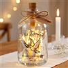 BBTO Regali in Denaro Luce LED Bottiglia con Scritta Bottiglia Decorativa Illuminata Bottiglia Salvadanai Regalo Confezione di Denaro(Colomba Firmung)