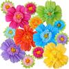TaoBary Grandi fiori di carta velina colorati, 50,8 cm, giganti, fiori di carta con pompon, fiori di carta messicani, carnevale, feste, sfondo da parete, decorazione per matrimoni e compleanni (colore