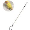 HEEPDD Catena Addestramento Caviglia Pappagallo Acciaio Inossidabile 27.5cm Argento, Guinzaglio Cavigliera Regolabile Agapornis Nymphicus Hollandicus Psittacula Eupatria, Resistente Ruggine 304 5 Anelli