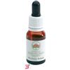 BUSH BIOTHERAPIES PTY LTD BANKSIA ROBUR GOCCE 15 ML