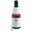 BUSH BIOTHERAPIES PTY LTD BLUEBELL GOCCE 15 ML
