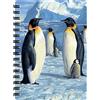 3D LiveLife Quaderno - Maestà Antartica di Deluxebase. Quadernino A6 Spiralato Lenticolare in 3D con Pinguini, con fogli bianchi in carta riciclata. Opera d'arte del celebre artista Robert Hautman