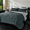 beeweed Piumino Letto Matrimoniale Maxi 4 Stagioni 240x260, Reversibile Piumone Autunnale Invernale 240x260cm - Coperta Trapunta 260x240 di Microfibra Sintetico 300 GSM, OEKO-TEX, Con 2 federa(40X80)