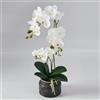 Avoeco Pianta artificiale di orchidea realistica al tatto, 50,8 cm, finta Phalaenopsis in vaso, struttura altamente realistica di fiori e foglie di orchidea in seta per casa, ufficio, negozio e