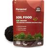 Florasoul® Ammendante BIO per Terreno Argilloso, Rende Soffice la Terra Dura e Compatta, Previene Ristagni d'Acqua, Migliora Drenaggio e Aerazione, Granulare per Prato, Orto e Giardino, 3kg per 50m²