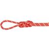 Mammut 8.0 Alpine Classic Rope 50 m