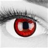 Meralens Lenti a Contatto Colorate Lupo Rossa rosse Red Flower Lenses - con porta lenti a contatto - ideali per Manga Anime Halloween Demone Vampiro - Durata 1 Anno - 1 Coppia senza correzione
