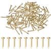 M METERXITY 100 Pezzi Piccoli Chiodi, 1.2mm x 10mm Chiodi Di Precisione In Ottone Testa Tonda Per Legno/DIY Artigianato Decorativo/Accessori Per La Casa/Appendi Quadri