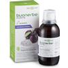 Bios Line - Buonerbe Forte Sciroppo Confezione 180 Ml
