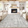 PureCozy Tappeto Salotto Tappeti 300x400cm Grigio Lavabile in Lavatrice Antiscivolo Rug Moderno Astratto Naturale Grande Carpet Soggiorno Cameretta Camera da Letto Ufficio Pelo Corto
