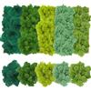 Mkitnvy Muschio stabilizzato islandese,decorazione per il fai da te,con 200g,cinque colori misti,muschio di renne artificiale,per parete, presepe, decorazioni o modellismo I muschio verde chiaro e scuro