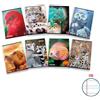 Pigna Quaderno 42 fogli PIGNA Animal A4 a righe 0B con margine assortiti 02307650B