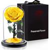 APKOL Rosa Stabilizzata Vera in Vetro, Rosa Eterna Realizzati con Rose Vere, Fiori Stabilizzati sotto Vetro a Cupola, Regalo Donna Compleanno, Regalo Mamma, Regalo Fidanzata, Moglie,Giallo