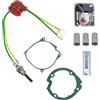 Dixhills Kit di riscaldamento diesel per motori diesel di ricambio per motori diesel da 12 V, 3 kW, 5 kW, 8 kW, kit di penne in ceramica