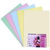OFITURIA FAB-16248 Pack 100 Hojas Colores Suaves Tamaño A3 80g