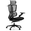 hjh OFFICE Sedia da ufficio Ergo U2 Flex3 - Sedia girevole professionale con schienale in rete traspirante e seduta robusta, supporto lombare regolabile in altezza, nero
