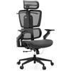 hjh OFFICE Sedia da ufficio Ergo U2 Pro3 - Sedia girevole professionale in rete di nylon - Supporto lombare regolabile in altezza - Regolazione continua della profondità - Braccioli 6D - Nero