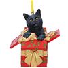 Nemesis Now Present Cat Non Specificato Palline di natale standard Plastica