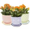 Chive Vasi per piante in ceramica Liberte, carini, bellissimi vasi per fiori e piante da appartamento per interni ed esterni, set di 3, cremisi, verde e blu