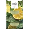 Yankee Candle Ricarica Scent Plug | Sage & Citrus | Per spazi piccoli e medi | Fragranza duratura