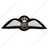 Modern British RAF Pilot Wings Regina Corona Royal Air Force imbottito DIVISA