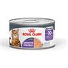 Royal Canin Airlift Appetite Control Mousse da 85 gr
