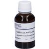 HERING Corylus Avellana Gemmeme Macerato Glicerico 30 ml Gocce orali