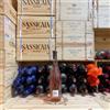 Marchesi Antinori Furia di Calafuria 2025 Tormaresca - Marchesi Antinori