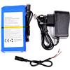 AFTERTECH Pacco Batteria Ricaricabile al Litio 12V 7000mAh 7Ah 84Wh 3s1p 130x65x24mm con Caricabatterie F2D4