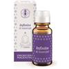 Erboristeria Magentina ESSENZA INFINITO 7 CHAKRA 10 ML