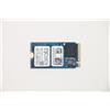 Lenovo 256GB PCIe NVMe M.2 2242 SSD - Warranty: 3M