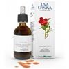 PromoPharma Uva Ursina Soluzione Idroalcolica 50ml