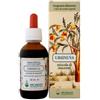 ARCANGEA Srl URSINUVA Sol.Ial.50ml ACN