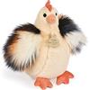 Histoire d'ours - Peluche Gallina - Animale della fattoria - Pollastrella beige - 20 cm - Dolce e carina - Idea regalo per la nascita e il compleanno di ragazza e ragazzo - HO3162