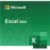 Microsoft Excel 2024
