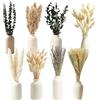 Touosy 100 Pezzi Pampas Decorative, Fiori Secchi Decorativi Combinazioni Multiple Fiori Essiccati Naturale Decorazione Casa Stile Bohémien per Tavolo da Pranzo Matrimonio Arredamento per Feste