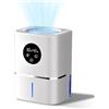 EPROICKS Deumidificatore, Deumidificatore Casa Silenzioso, con Display LED Dell'umidimetro, Adatto per Spazi di Circa 50-100 m³Come Camere da Letto, Bagni e Ambienti Domestici