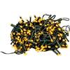 Avilia Catena Luminosa a LED per Adobbi di Natale e Decorazioni (Catena 100 Luci - Calda)
