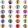 PATIKIL 6mm Occhi di Drago 100 PCS Cabochon in Vetro Stile Misto Occhi Animali Realistici per Creazioni in Argilla Bambole Artigianato DIY Gioielli Colori Misti(19#)