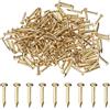 M METERXITY 200 Pcs Piccoli Chiodini, 2mm x 15mm Chiodi Di Precisione In Ottone Con Testa Tonda Per Legno/DIY Artigianato Decorativo/Accessori Per La Casa/Appendi Quadri