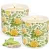 KIYTARBOO 2 Pezzi Candele Citronella Esterno, Durata 160 Ore Bruciando Candele Citronella Grandi, Candela in Cera di Soia Naturali per Giardino, Campeggio, Terrazzo, Picnic, Piscina