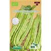 Germisem Biologico Helda Semi di Fagiolo Rampicante 80 g