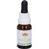 Natur FRINGED VIOLET ESSENZA 15 ML 1 PEZZO