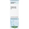 Erba Vita FINOCCHIO SEMI SOLUZIONE IDROALCOLICA 50 ML
