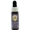 Natur EUCALYPSTUS ESS 7,4ML