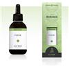 Nuova Astrum FUCUS ASTRUM RUGIADA 50 ML
