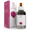 IBERSAN Srl HORTI CELATI FICUS CARICA 100 ML