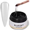 Bluesky Gel Ricostruzione Unghie UV, Costruttore Semipermanente Acrigel,allunga e Ripara (Clear-15g)